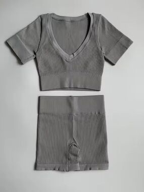 Seamless Ribbed V-Neck Sports Bra & High-Waist Shorts Set - Gray